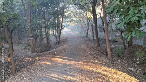 path in the woods at Swarna Jayanti Park,.Bhopal, Madhya Pradesh, India