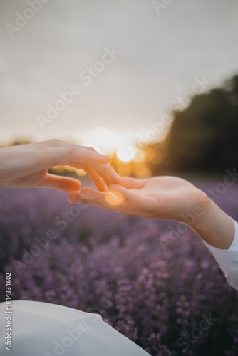 Close-up of two hands reaching for each other over a purple lavender field at sunset, capturing the warm glow of the sun and a sense of romantic connection.