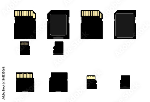 miniSD and microSD memory cards with adapter without background.