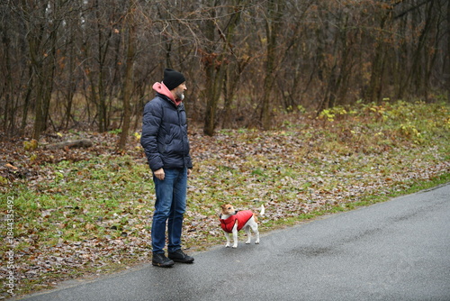 A man wearing a jacket and hat stands on a wet road while his small dog in a red coat looks up at him in a forested area. Leaves cover the ground