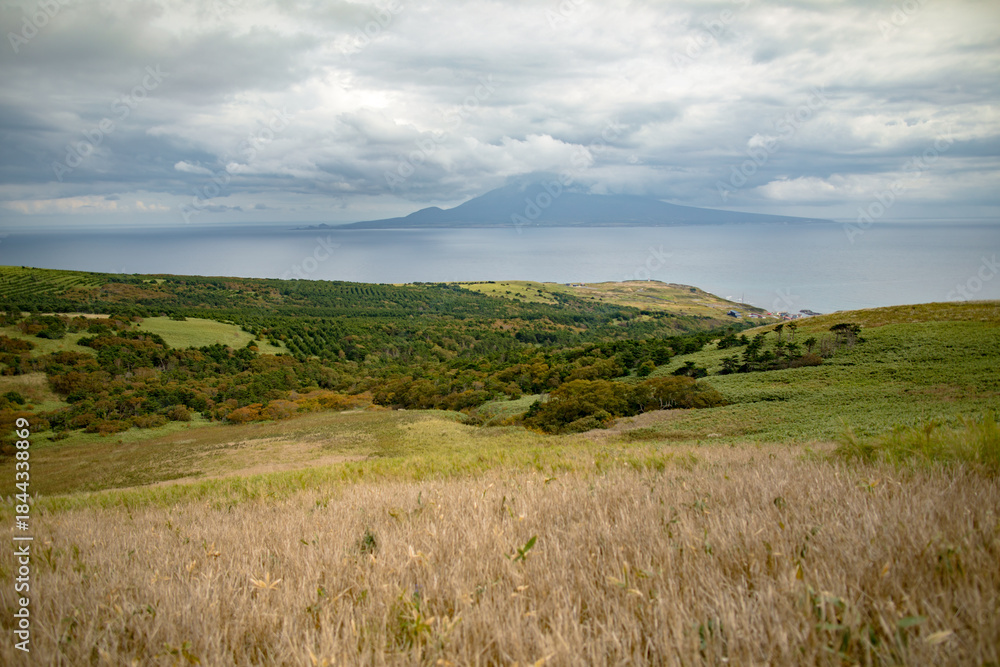Naklejka premium Momoiwa Hiking Trail, Rebun Island, Hokkaido, Japan
