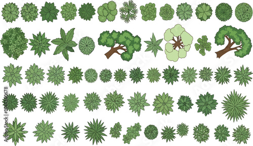 Extensive Collection of Top View Green Trees and Various Plants Vector Illustrations for Landscape Planning and Architectural Design Projects