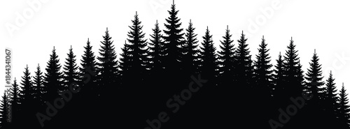 Pine Forest Silhouette Vector Border Graphic Design Element Evergreen Fir Tree Landscape Background Nature Wilderness Environment Outdoors Scene Woodland Illustration