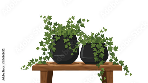 Two elegant black potted plants overflowing with lush green trailing ivy, displayed gracefully on a rustic wooden shelf.