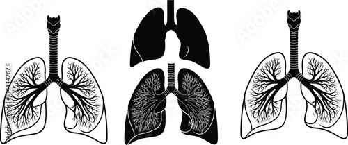 Black Silhouette Set of Human Lung and Bronchial Tree Anatomy Illustrations, Showing Detailed Respiratory System Organs for Medical and Educational Use.