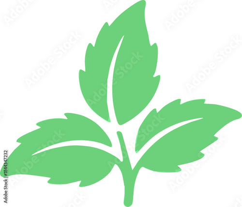 Mint Leaf Icon Flat Green Herb Vector Illustration