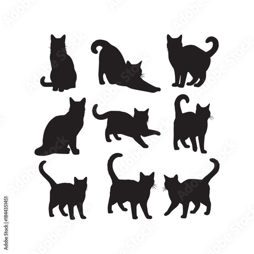 Cat Silhouettes Collection,Cats Silhouettes,Vector Cat Silhouettes,Domestic Cat Silhouettes,cat vector