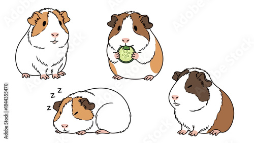 Cute Guinea Pig Characters Set: Sleeping, Eating, and Sitting in Different Poses