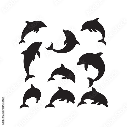 Dolphin Silhouettes Collection,Dolphins Silhouettes,Vector Dolphin Silhouettes,Marine Mammal Silhouettes,dolphin vector