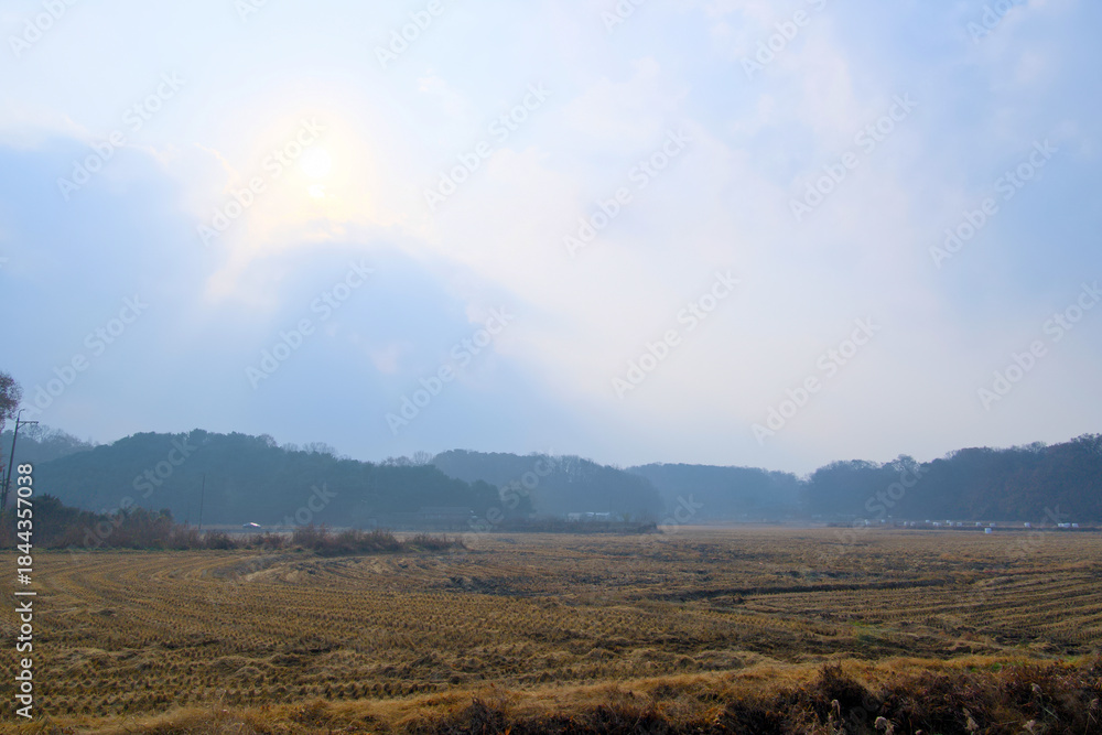 Obraz premium A field after harvest in a slightly cloudy morning