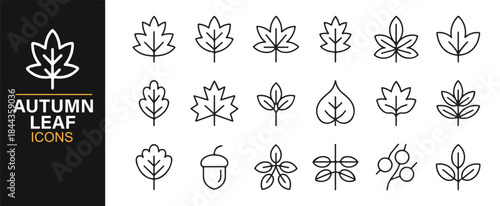 Structured autumn leaf icon set for nature-inspired visuals