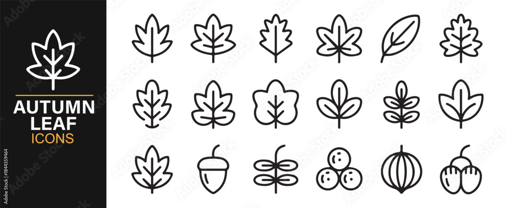 Fototapeta premium Modern vector autumn leaf illustrations for eco and outdoor graphics
