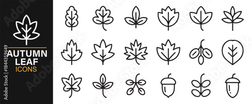 Editable stroke autumn leaf icons featuring fall foliage and botanical shapes