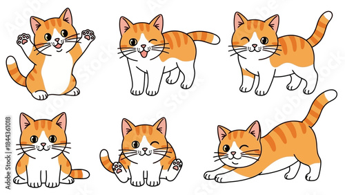 Set of Cute Orange and White Tabby Kittens in Various Playful Poses