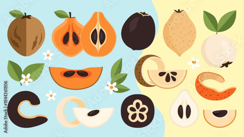 Colorful Illustration of Various Fruits and Vegetables with Freshness Vibe