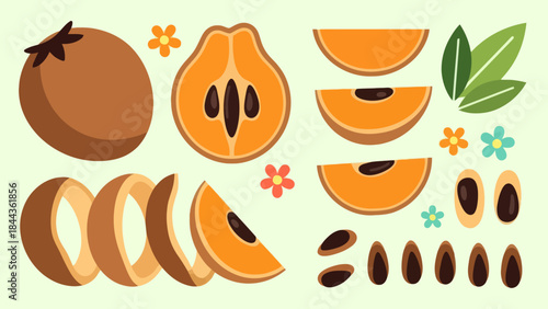 Illustration of Various Fresh Tropical Fruits Including Papaya Lychee and