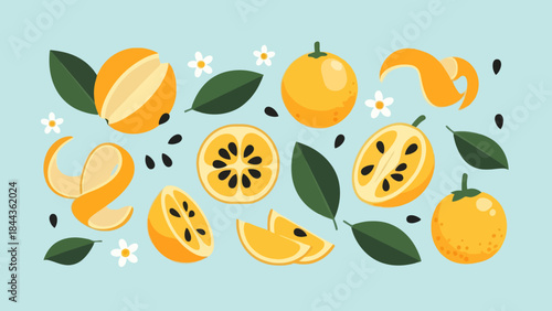 Colorful Illustration of Fresh Citrus Fruits and Bright Elements
