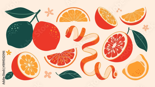 Colorful Illustration of Citrus Fruits and Peels with Green Leaves and Small