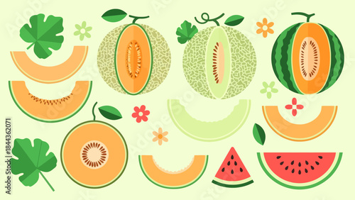 Colorful assortment of sliced and whole melons and watermelons with fresh