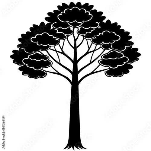 New Zealand Kauri Tree Towering Vector Silhouettes Minimal Icon Design