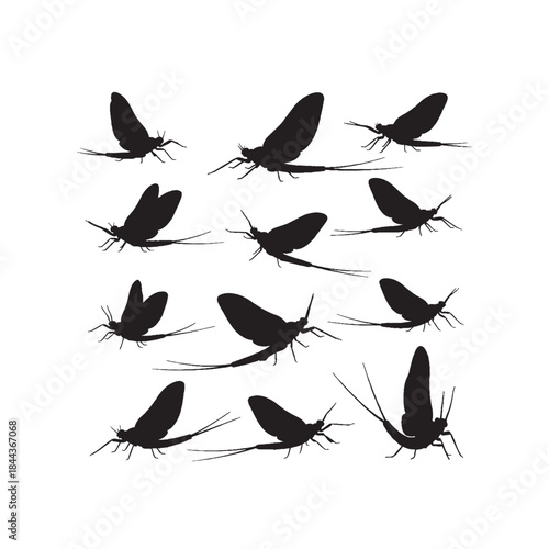 Mayfly Silhouettes Collection,Mayflies Silhouettes,Vector Mayfly Silhouettes,Insect Silhouettes,mayfly vector