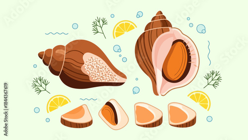 Illustration of a variety of shells with lemon slices and water elements
