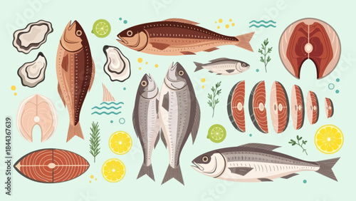 Colorful Illustration of Various Fresh Seafood and Fish Ocean Catch