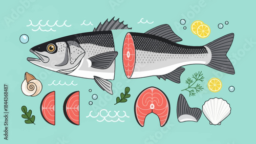 Detailed illustration of a fish dissected into edible parts with surrounding