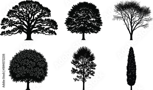 Collection of diverse realistic tree silhouettes, black vector illustrations showcasing various foliage and forms