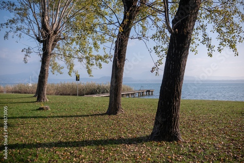 The shore of Lake Garda in Italy, trees, lawn, wooden pier and mountains on the horizon