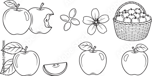Collection of black and white line art illustrations of apples and related elements Keywords: apples, apple, fruit, food, healthy, organic, nature