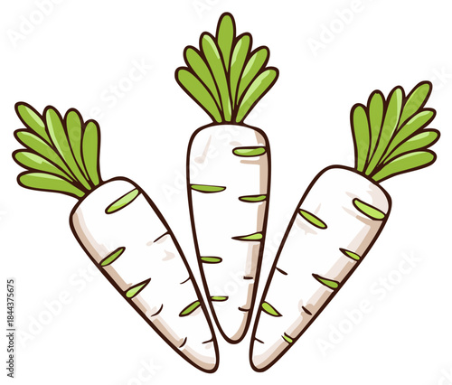 Three cartoon style white radishes with green leaves illustration