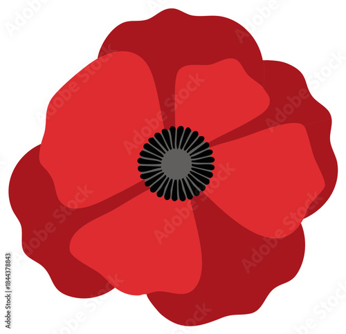 Scarlet Poppy Flower Flat Design for Remembrance Day, Illustration