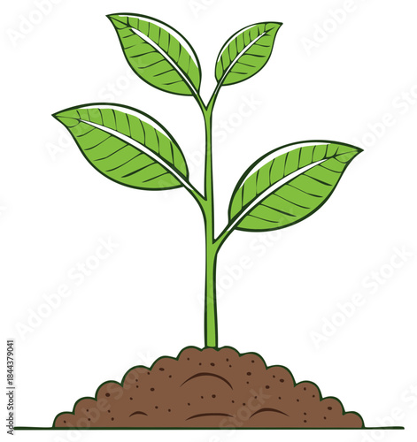 Green plant seedling with leaves, growing in the ground, sprouting from soil, illustration vector.
