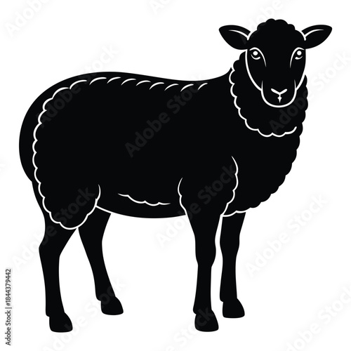 Clean and modern vector sheep silhouette vector art farm animal illustration livestock design graphic template ewe lamb ram wool farming 100
