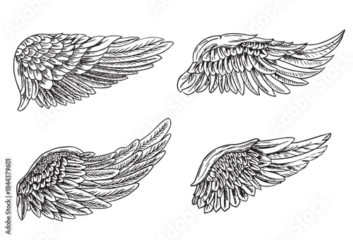 Angel wings or bird set. Angel winged glory sketch doodles illustration isolated on white background. Tattoo style image