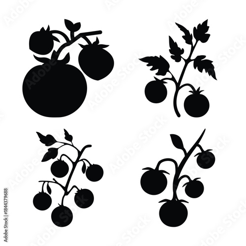 Collection of tomato plant and fruit silhouettes vector art