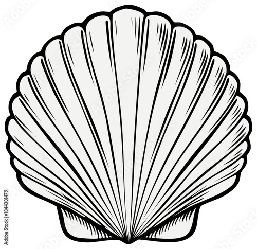 Simple black and white line art illustration of a scallop seashell icon