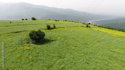 drone view of green plain