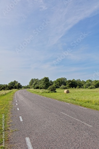 Two-lane asphalt rural road surrounded by green, bushes and trees, is sunny summer weather with a bright blue sky and some white clouds, Karuste, Saaremaa, Estonia.
