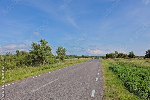 Two-lane asphalt rural road surrounded by green, bushes and trees, is sunny summer weather with a bright blue sky and some white clouds, Karuste, Saaremaa, Estonia.
