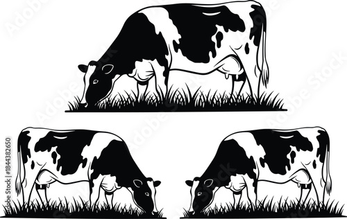 Black and white silhouette vector of Holstein dairy cows with udders, grazing in a patch of grass, used for milk, farm, cattle ranching, and agricultural food 