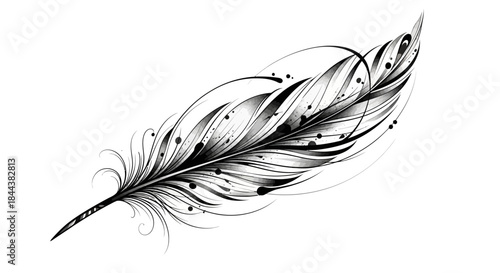 Elegant monochrome feather illustration with intricate details and artistic flourishes