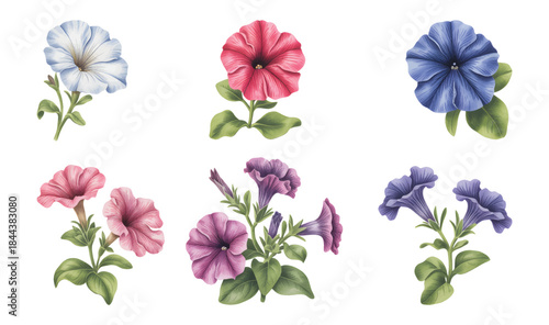 Soft blue magnolia flower blossoms with green leaves in watercolor style.