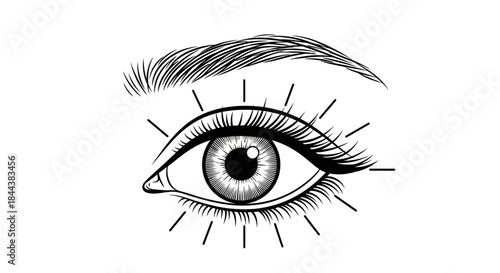 Detailed illustration of an eye with radiating lines and defined eyebrow design