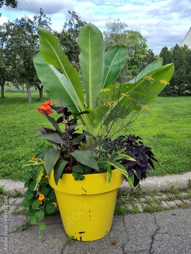 Montreal botanical garden