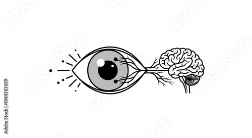 Eye and Brain Connection Diagram Illustrating Perception and Neural Pathways Anatomical Graphic