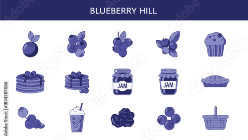 A grid of 15 stylized blueberrythemed icons rendered in shades of blue and purple on a white background