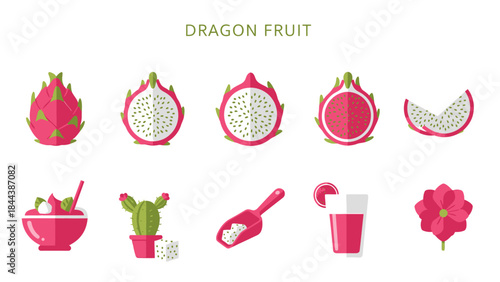A set of flat icons illustrating various forms of dragon fruit its source and related items