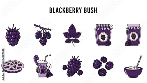 A set of ten purple icons related to blackberries including fruit leaves jam pie and drinks